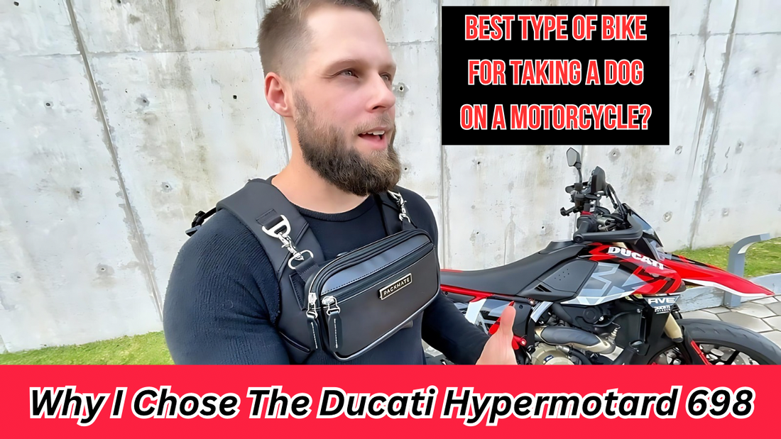 The Ducati Hypermotard 698 RVE + The Best Backpack For Taking A Dog On A Motorcycle!