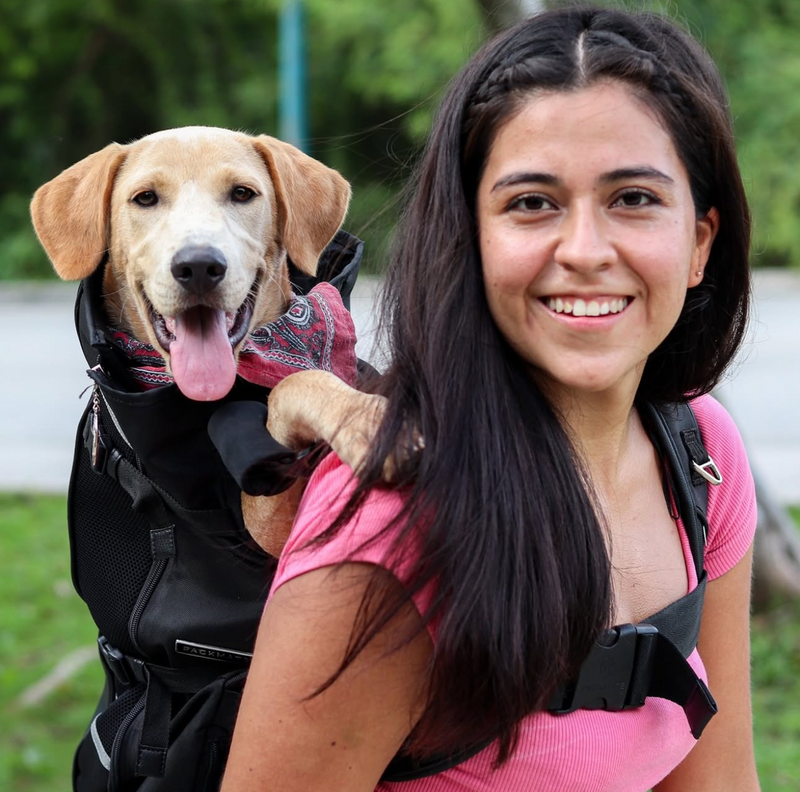 Sarah D.'s dog in PACKMATE