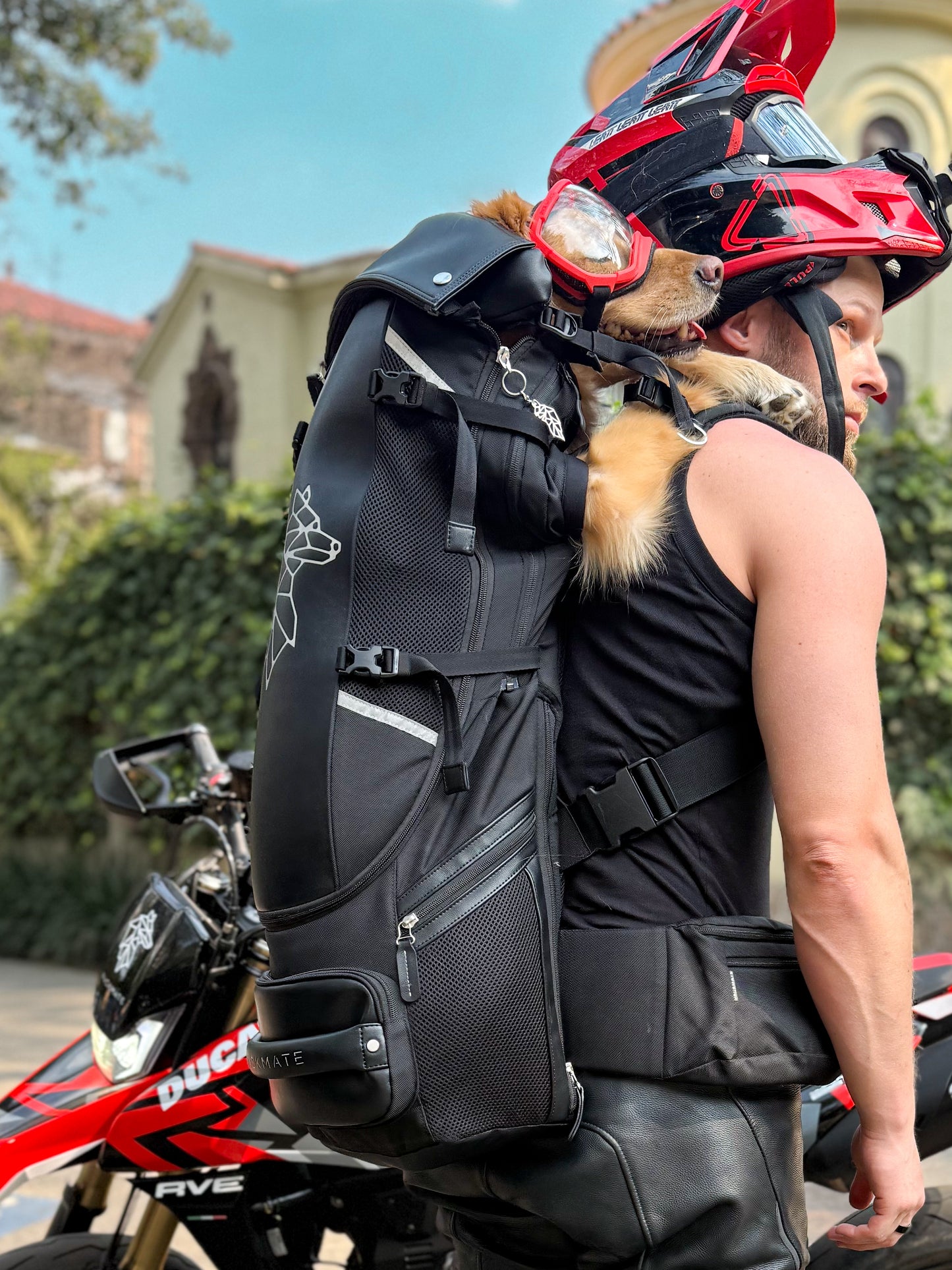 PACKMATE® Adjustable Dog Carrier (Up To 35kgs)