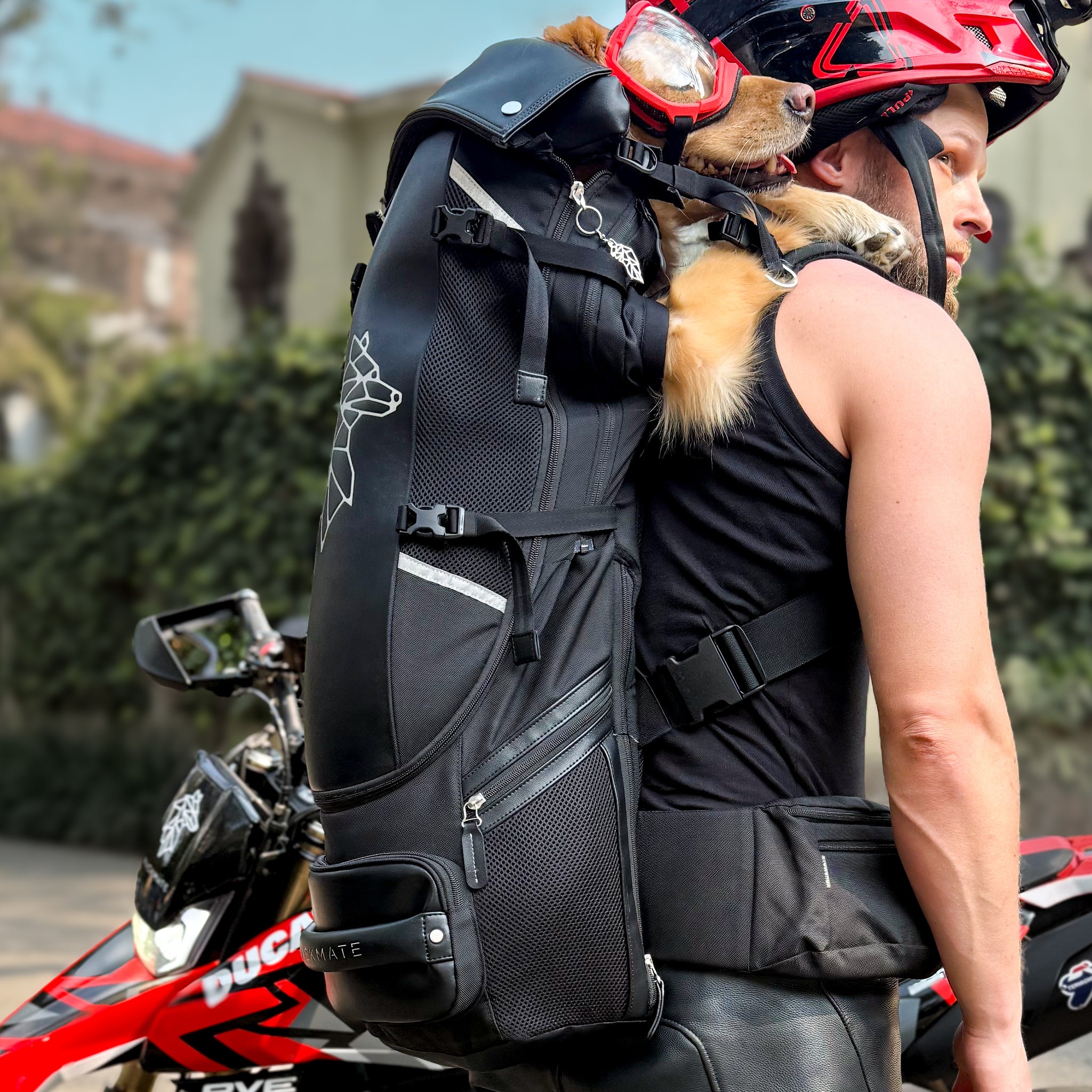 PACKMATE® Motorcycle Dog Carrier Backpack