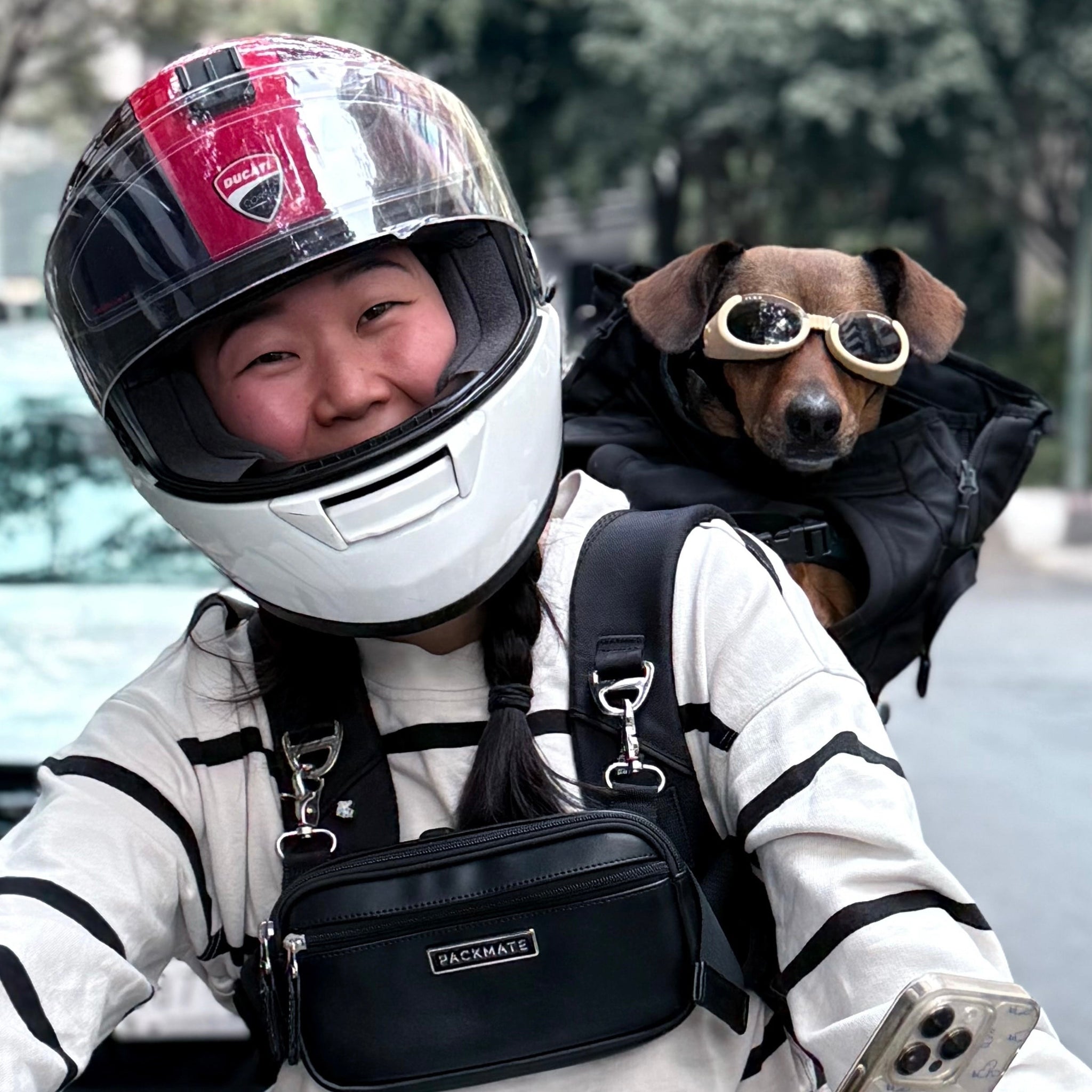 PACKMATE® Motorcycle Dog Carrier Backpack