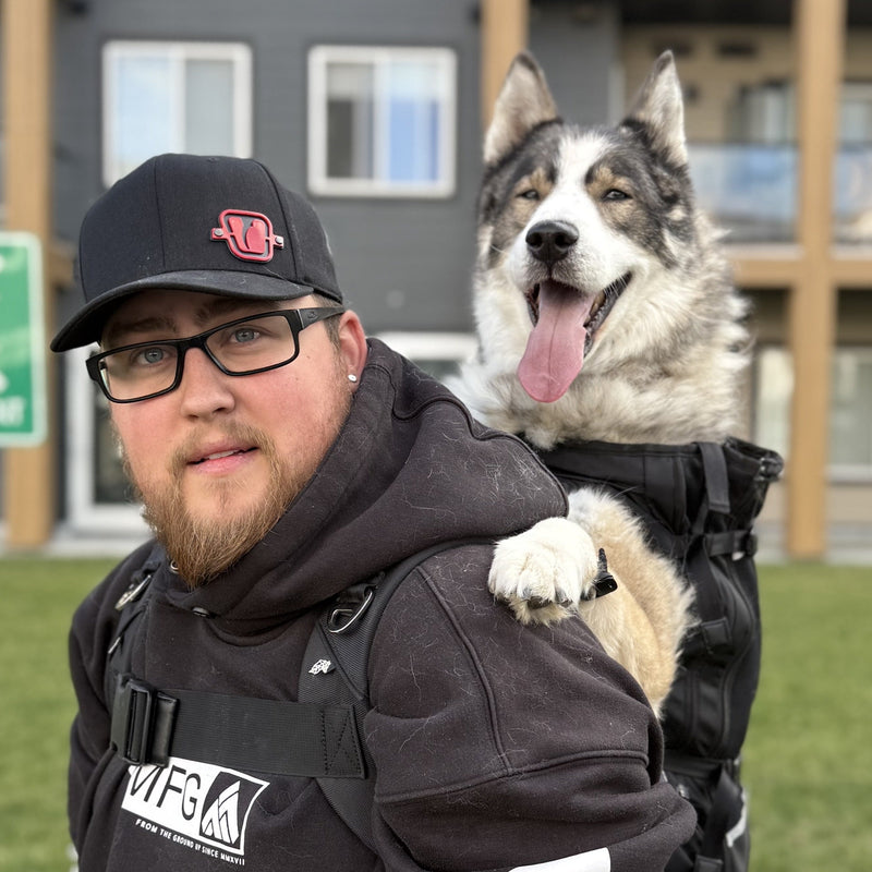 Tyler. L's dog in PACKMATE